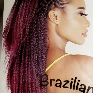 Brazilian Kinky Curl Linda Collection (Ombre Colors)